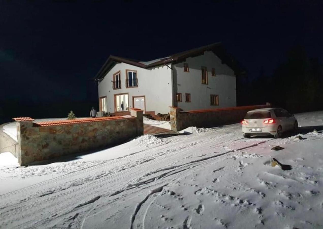 Pensiunea Mandruleanu Borşa Buitenkant foto