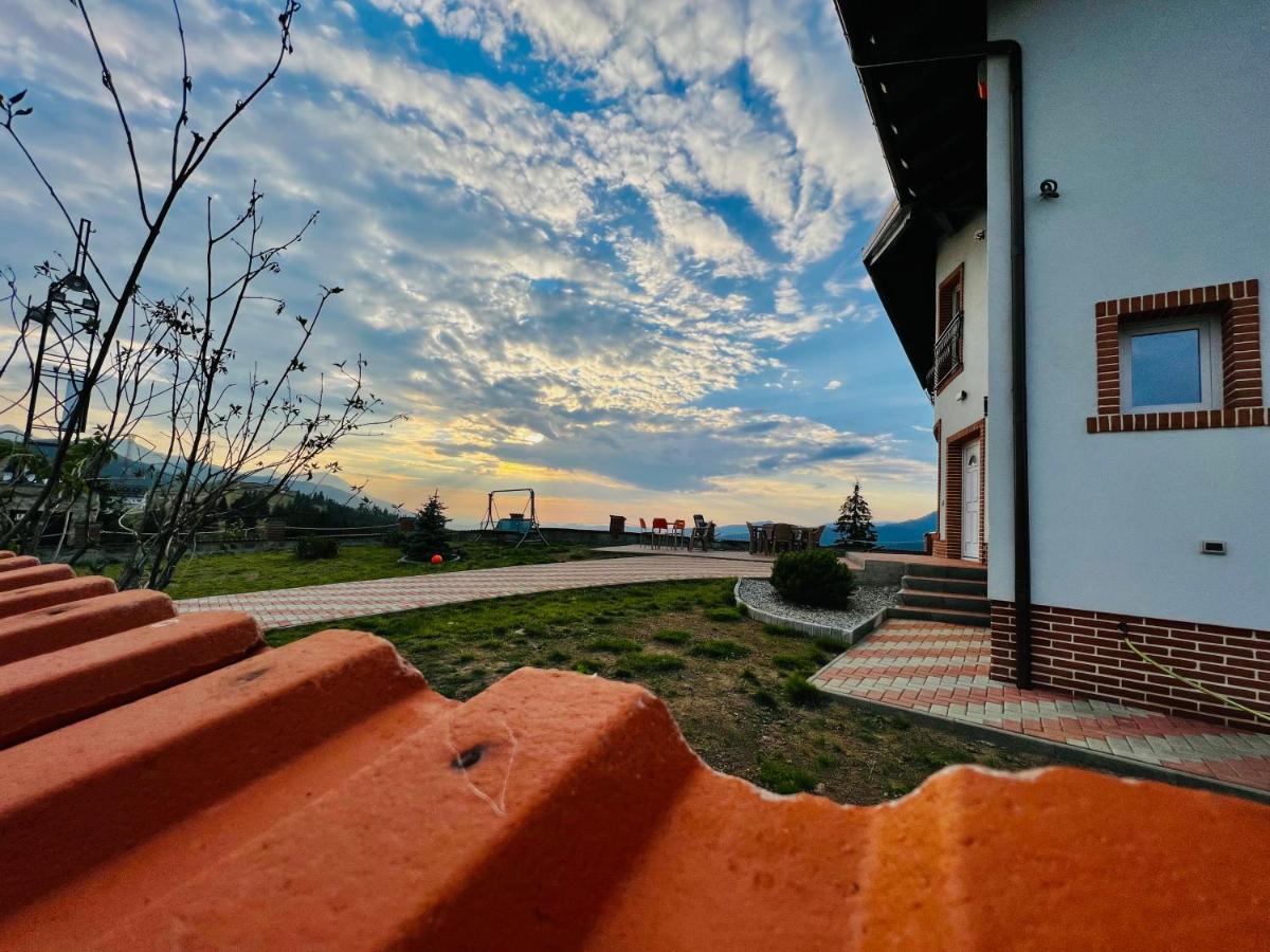 Pensiunea Mandruleanu Borşa Buitenkant foto