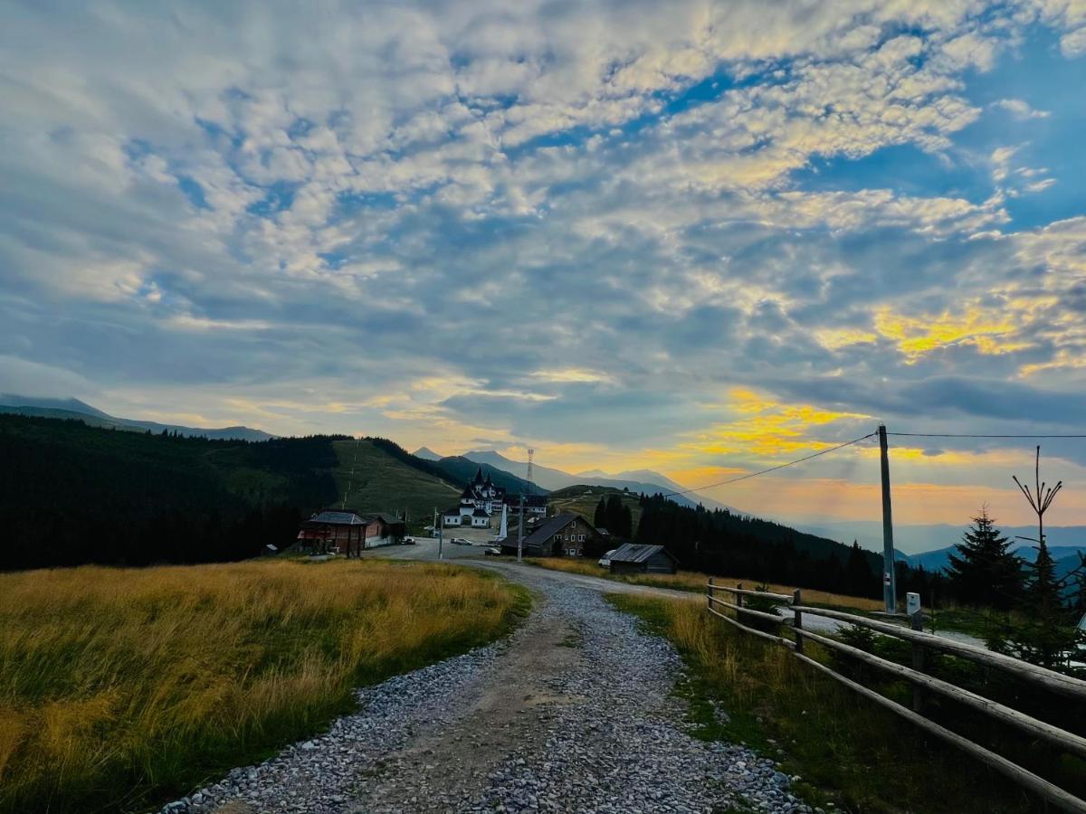 Pensiunea Mandruleanu Borşa Buitenkant foto
